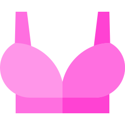 Bra icon