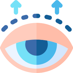 Eyelid icon