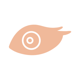 Eye icon