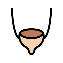 ureter Ícone