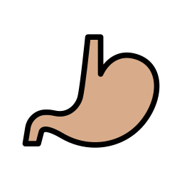 Stomach icon