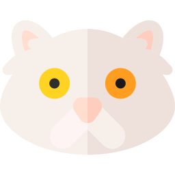 페르시아 고양이 icon