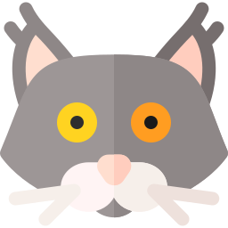 Maine coon cat icon
