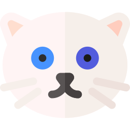 猫 icon