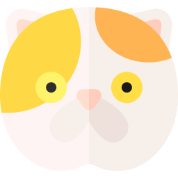 gatto esotico icona