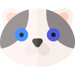 Himalayan cat icon