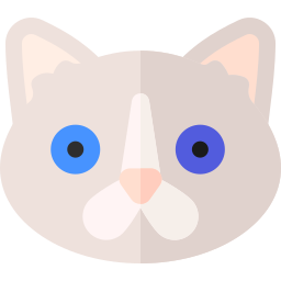 Ragamuffin cat icon