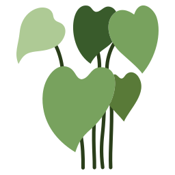 Alocasia icon