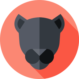 schwarzer panther icon