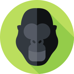 gorilla icon