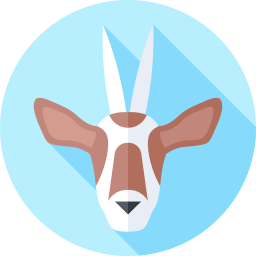 oryx icon