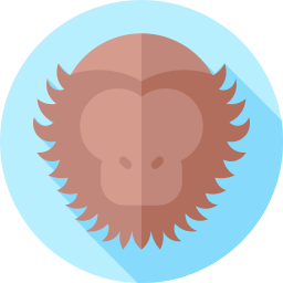 Monkey icon