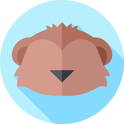 suricata icono