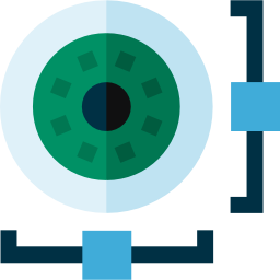 Vision icon