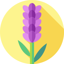 Lavender icon