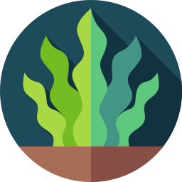 Algae icon