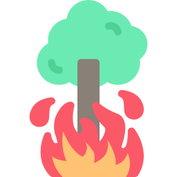 Burning tree icon