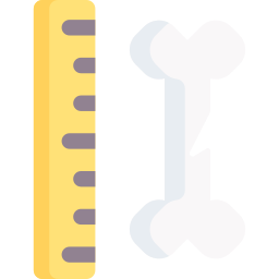 Ruler icon