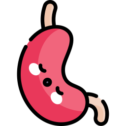 Stomach icon