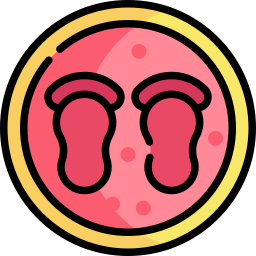 보두 붕소 icon