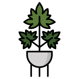 Филодендрон иконка