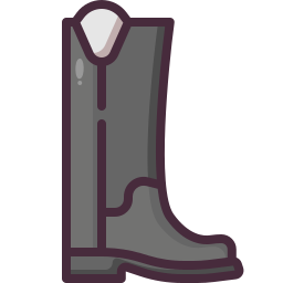 stiefel icon