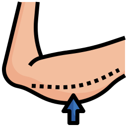 braço Ícone