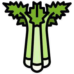 Coriander icon