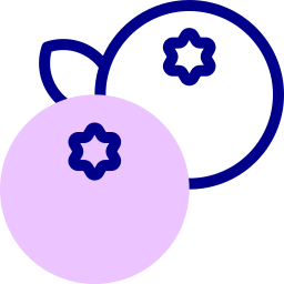 Blueberry icon