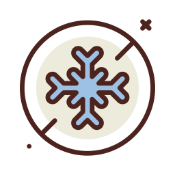 winter icon