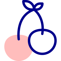 체리 icon