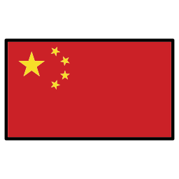 中国 icon