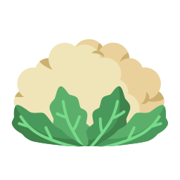 Cauliflower icon