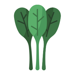 Spinach icon