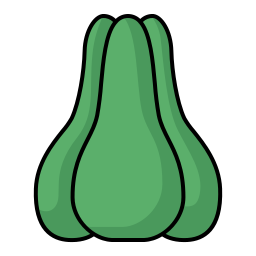 chayote icon