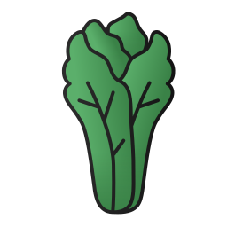 kopfsalat icon