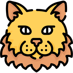 猫 icon