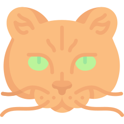 猫 icon