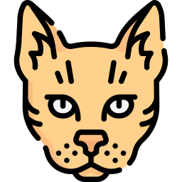 猫 icon