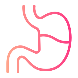 Stomach icon