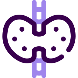 갑상선 icon