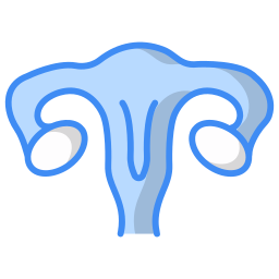 uterus icon