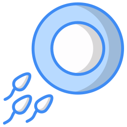 konzeption icon