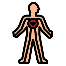 sistema circulatorio icono