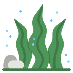 algues Icône