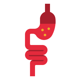 Stomach icon