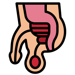 prostata icon