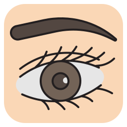 Eye icon