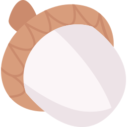 Acorn icon