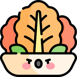 Kimchi icon